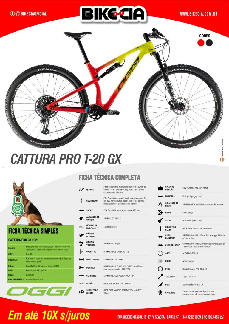 CATURA-PRO-T-20-GX-_-oggi-_bikecia_01w